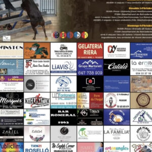 TOROS PICASSENT 2 Y 3 DE OCTUBRE 2026