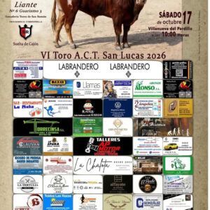 TOROS VILLANUEVA DEL PARDILLO 17 OCTUBRE 2026