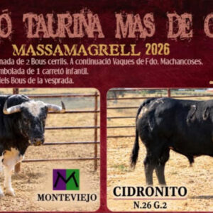 TOROS MASSAMAGRELL 31 DE OCTUBRE 2026