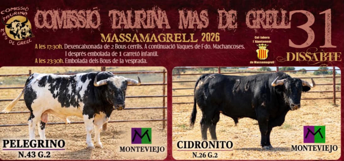 TOROS MASSAMAGRELL 31 DE OCTUBRE 2026